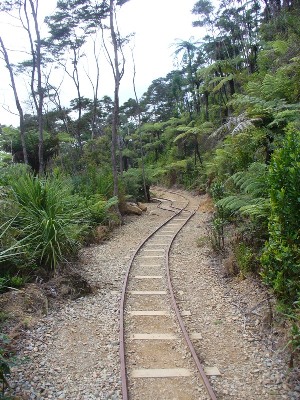 New Zealand train tracks