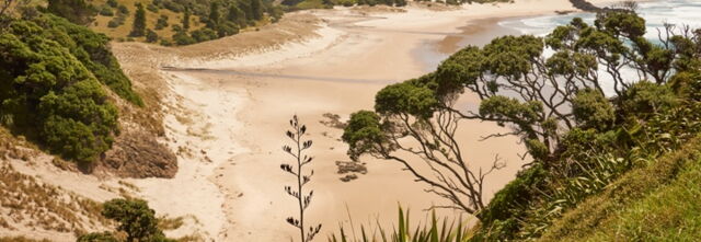 Immigration tips New Zealand