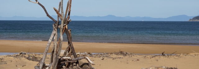 Nelson and Golden Bay travel tips