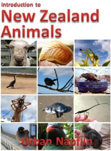 New Zealand animals ebook