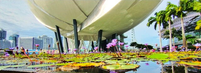 Stopover in Singapore between flights to New Zealand