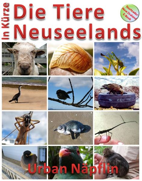 Hier ist das Ebook!