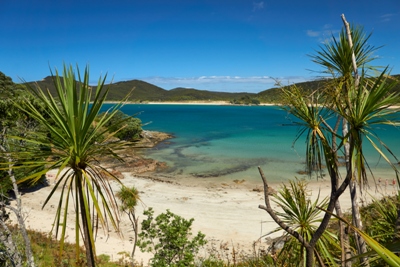 Maitai Bay im Far North