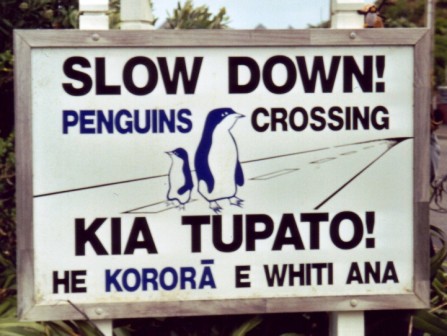 Sustainable travel in New Zealand