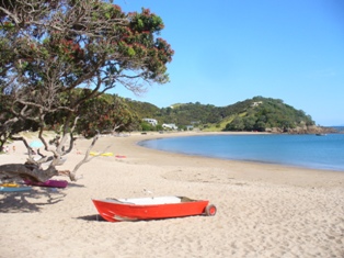 Northland Reisetipps: Tutukaka Küste mit Whangaumu oder Wellington Bay