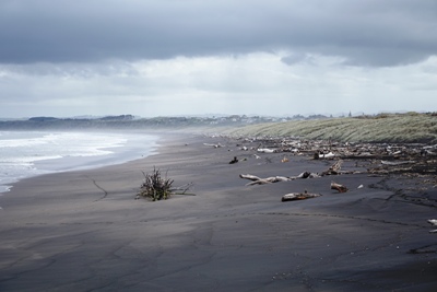 Whanganui Tipps - Strand - Neuseeland-Reisetipps