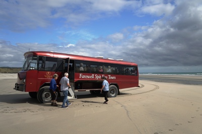 Nelson travel tips - Farewell Spit tour