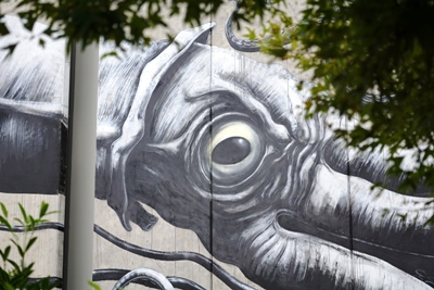 Nelson travel tips - art murals