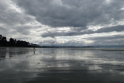 Nelson travel tips - Rabbit Island beach
