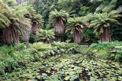 Taranaki travel tips - Pukekura Park in New Plymouth
