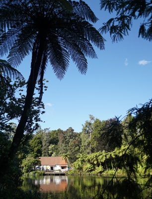 Taranaki travel tips - Pukekura Park