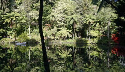 Taranaki travel tips - Pukekura Park with row boats in New Plymouth
