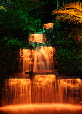 Taranaki travel tips - Festival of Lights in Pukekura Park