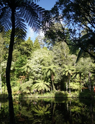 Taranaki travel tips - Pukekura Park