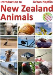New Zealand Animals: E-Book