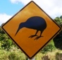 New Zealand Kiwi