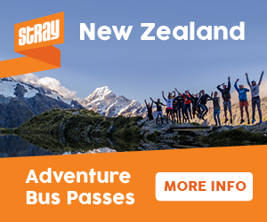 Stray Backpacker-Bus Neuseeland
