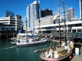 Auckland - Viaduct Basin