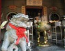 Guardian lion